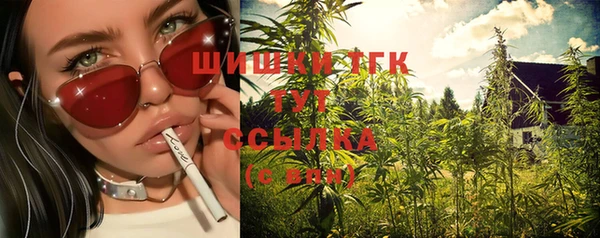 прущие крисы Алексин